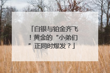 白银与铂金齐飞！黄金的“小弟们”正同时爆发？