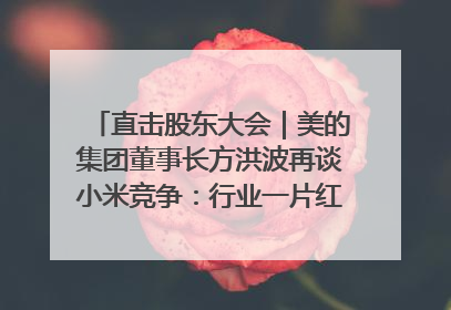 直击股东大会｜美的集团董事长方洪波再谈小米竞争：行业一片红海，打法已固定，无论谁胜都是消耗战