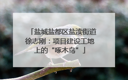 盐城盐都区盐渎街道徐志刚：项目建设工地上的“啄木鸟”