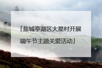 盐城亭湖区大星村开展端午节主题关爱活动