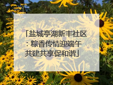 盐城亭湖新丰社区：粽香传情迎端午 共建共享促和谐