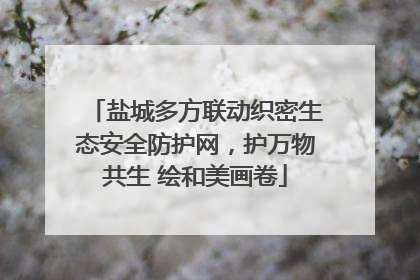 盐城多方联动织密生态安全防护网，护万物共生 绘和美画卷