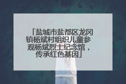 盐城市盐都区龙冈镇杨斌村组织儿童参观杨斌烈士纪念馆，传承红色基因