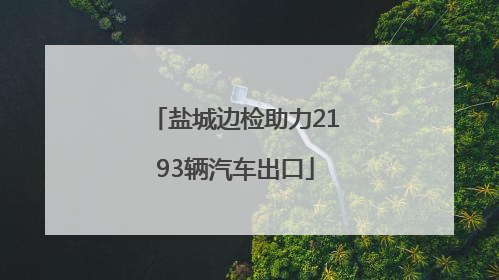 盐城边检助力2193辆汽车出口