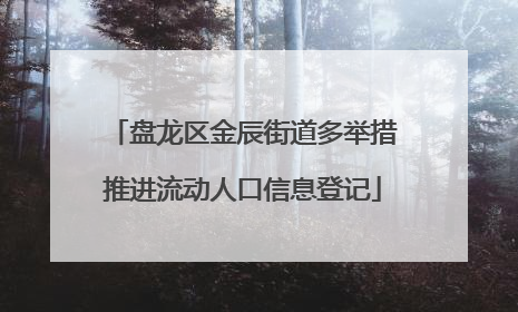 盘龙区金辰街道多举措推进流动人口信息登记