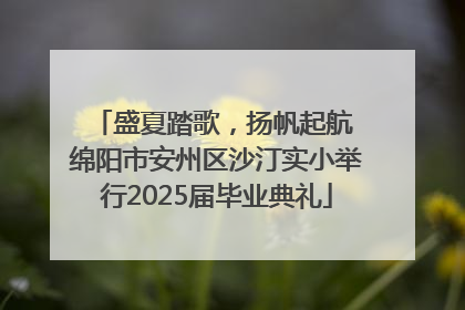 盛夏踏歌，扬帆起航 绵阳市安州区沙汀实小举行2025届毕业典礼