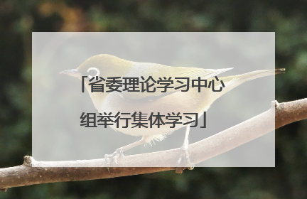 省委理论学习中心组举行集体学习