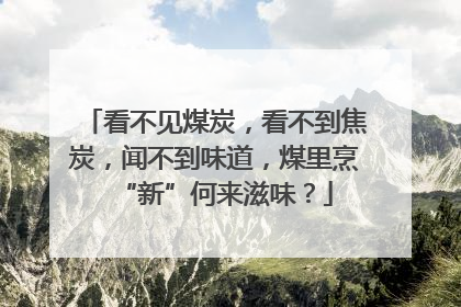 看不见煤炭，看不到焦炭，闻不到味道，煤里烹“新”何来滋味？