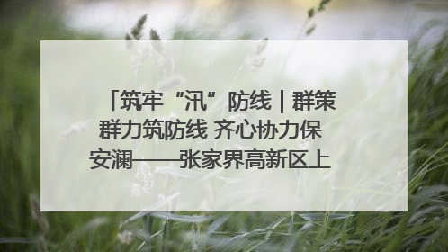 筑牢“汛”防线｜群策群力筑防线 齐心协力保安澜——张家界高新区上下众志成城迎战汛情