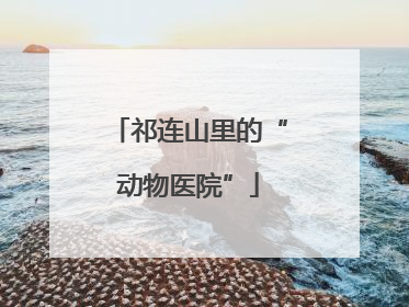 祁连山里的“动物医院”