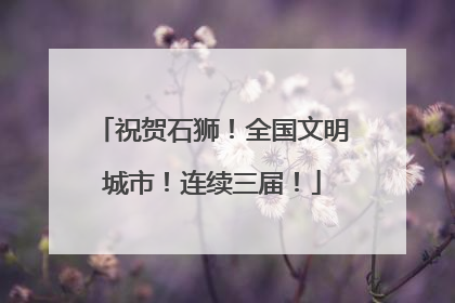 祝贺石狮！全国文明城市！连续三届！