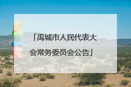 禹城市人民代表大会常务委员会公告