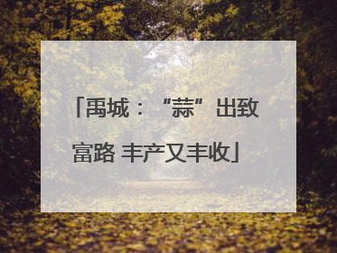 禹城：“蒜”出致富路 丰产又丰收