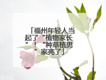福州年轻人当起了“植物家长”！“种草植男”家亮了