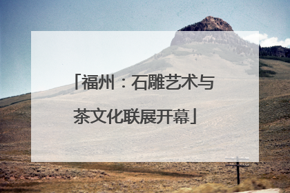 福州：石雕艺术与茶文化联展开幕