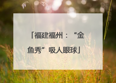 福建福州：“金鱼秀”吸人眼球