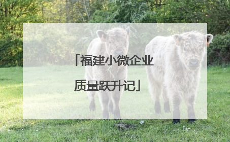 福建小微企业质量跃升记