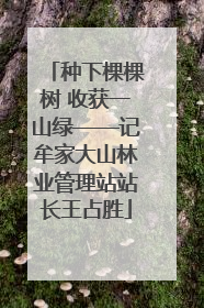 种下棵棵树 收获一山绿——记牟家大山林业管理站站长王占胜