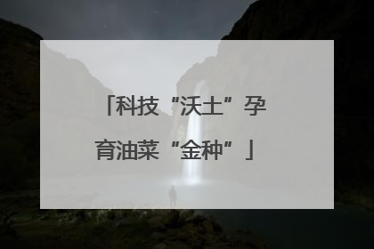 科技“沃土”孕育油菜“金种”