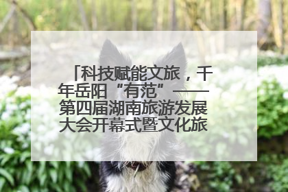 科技赋能文旅，千年岳阳“有范”——第四届湖南旅游发展大会开幕式暨文化旅游推介会侧记