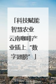 科技赋能智慧农业 云南咖啡产业插上“数字翅膀”
