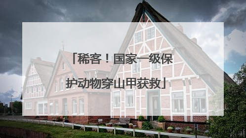 稀客！国家一级保护动物穿山甲获救