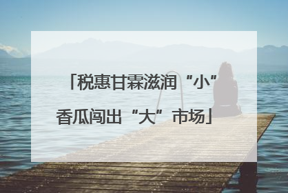 税惠甘霖滋润“小”香瓜闯出“大”市场