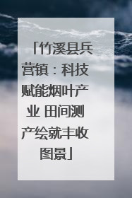 竹溪县兵营镇：科技赋能烟叶产业 田间测产绘就丰收图景