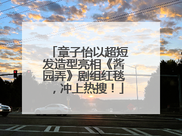 章子怡以超短发造型亮相《酱园弄》剧组红毯，冲上热搜！