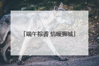 端午粽香 情暖狮城