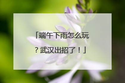 端午下雨怎么玩？武汉出招了！