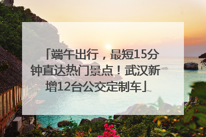 端午出行，最短15分钟直达热门景点！武汉新增12台公交定制车