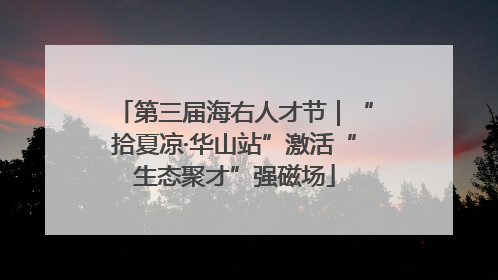 第三届海右人才节｜“拾夏凉·华山站”激活“生态聚才”强磁场