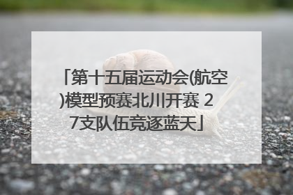 第十五届运动会(航空)模型预赛北川开赛 27支队伍竞逐蓝天