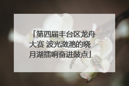 第四届丰台区龙舟大赛 波光潋滟的晓月湖擂响奋进鼓点