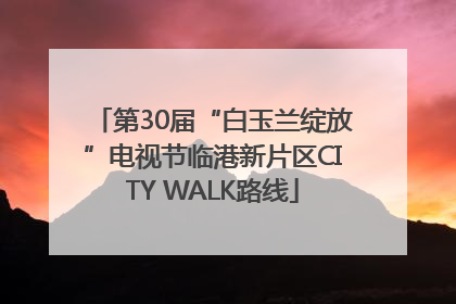 第30届“白玉兰绽放”电视节临港新片区CITY WALK路线