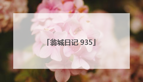 翁城日记 935