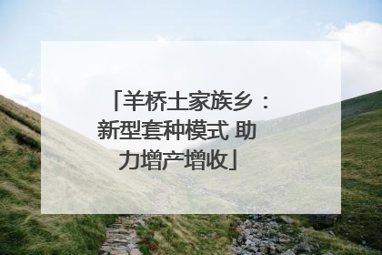 羊桥土家族乡：新型套种模式 助力增产增收