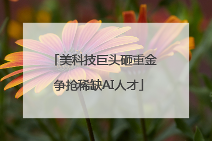 美科技巨头砸重金争抢稀缺AI人才