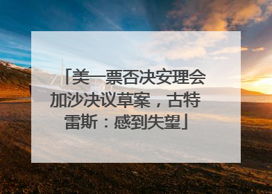 美一票否决安理会加沙决议草案，古特雷斯：感到失望
