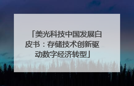 美光科技中国发展白皮书：存储技术创新驱动数字经济转型