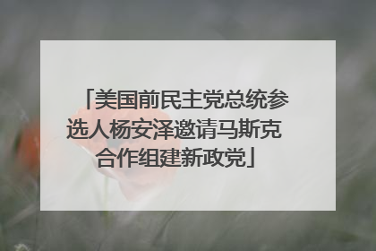 美国前民主党总统参选人杨安泽邀请马斯克合作组建新政党