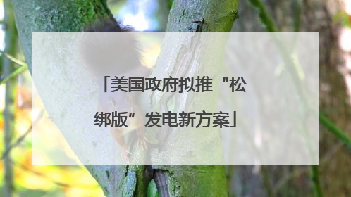 美国政府拟推“松绑版”发电新方案