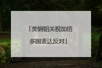 美钢铝关税加倍 多国表达反对
