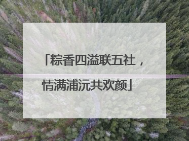 粽香四溢联五社，情满浦沅共欢颜