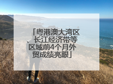 粤港澳大湾区、长江经济带等区域前4个月外贸成绩亮眼