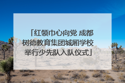 红领巾心向党 成都树德教育集团城厢学校举行少先队入队仪式