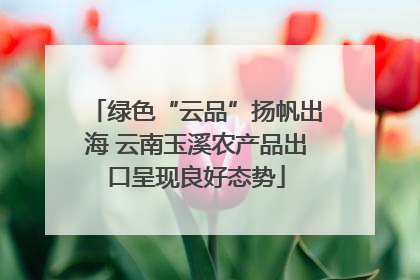 绿色“云品”扬帆出海 云南玉溪农产品出口呈现良好态势