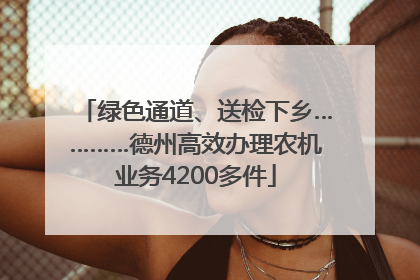 绿色通道、送检下乡…………德州高效办理农机业务4200多件