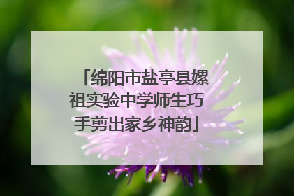 绵阳市盐亭县嫘祖实验中学师生巧手剪出家乡神韵